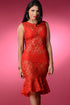 Red Romance Lace Midi Dress
